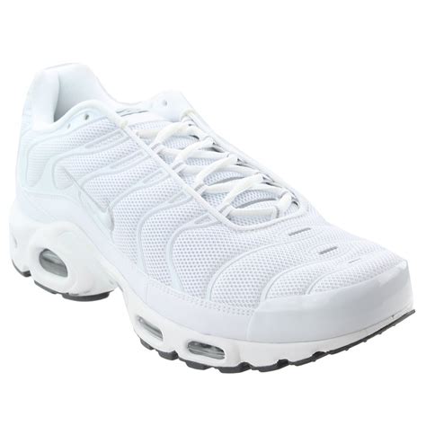 schuhe herren nike air max plus